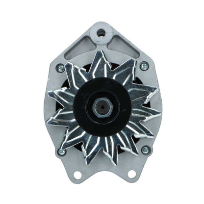 RNL-Standard Alternator Daf 55A RNL3310