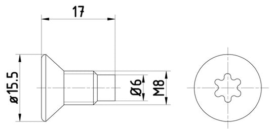 HELLA Bolt, brake disc PAG0004 8DZ355209-041
