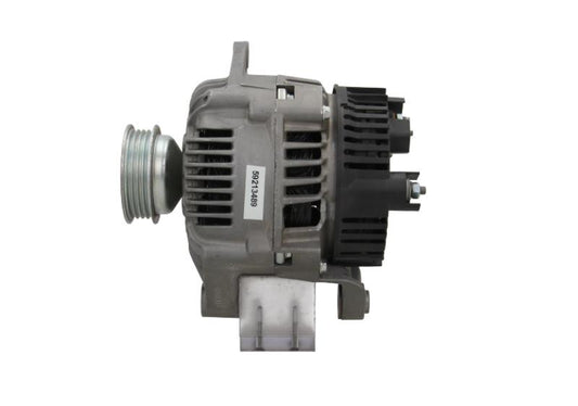 OEM Reman (RNL) Alternator Renault 110A A13VI17RT