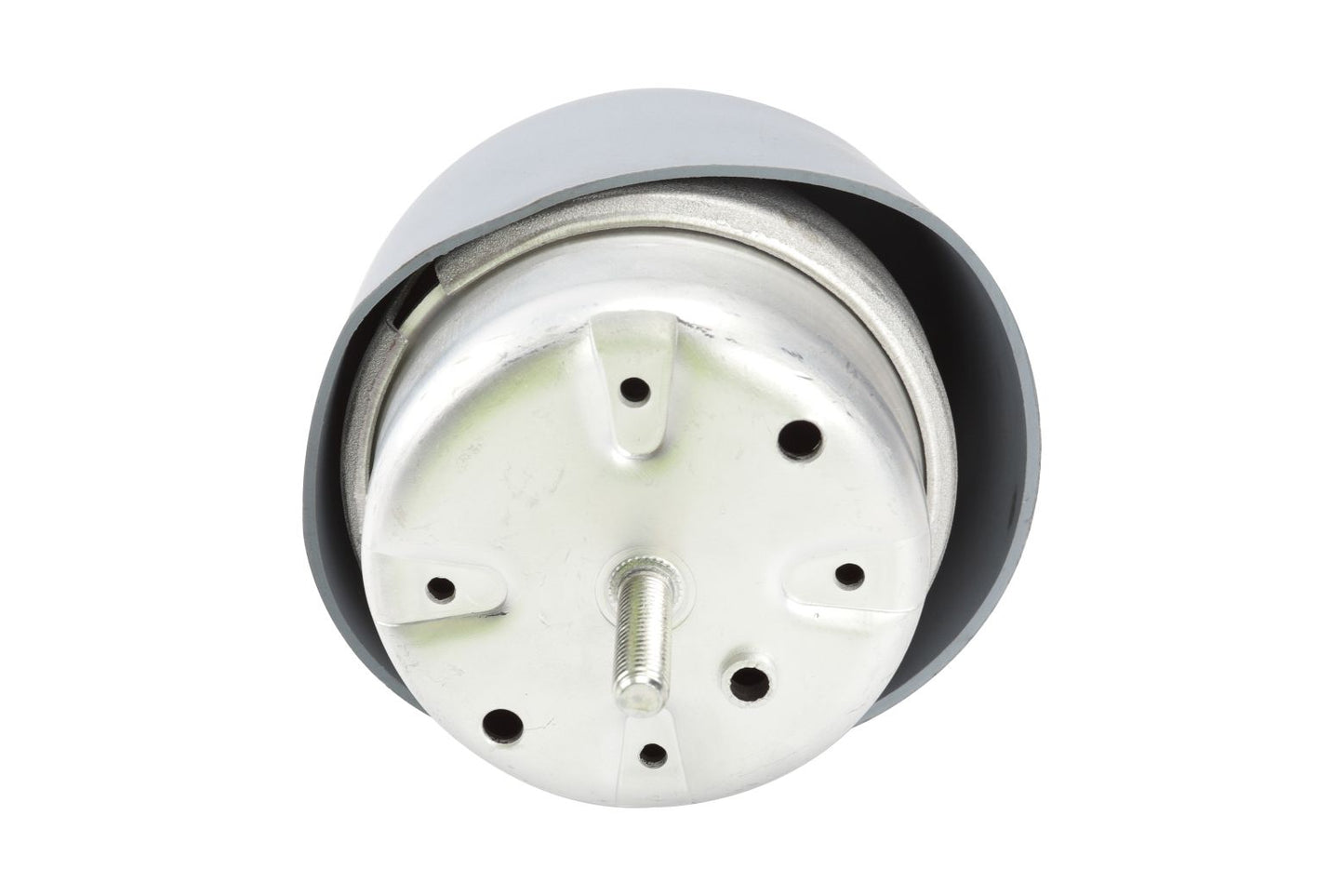 BOGAP Premium Mounting for engine A1911492
