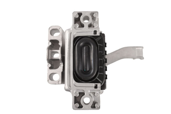 BOGAP Premium Mounting for engine A1918120