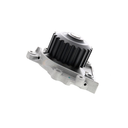 ACKOJA Water Pump, engine cooling A26-50011