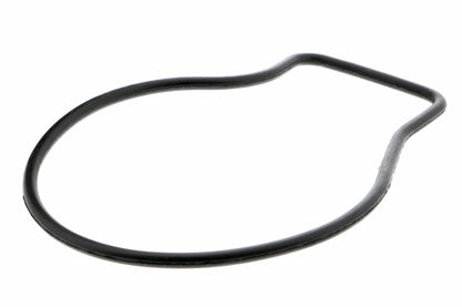 ACKOJA Water Pump, engine cooling A26-50015