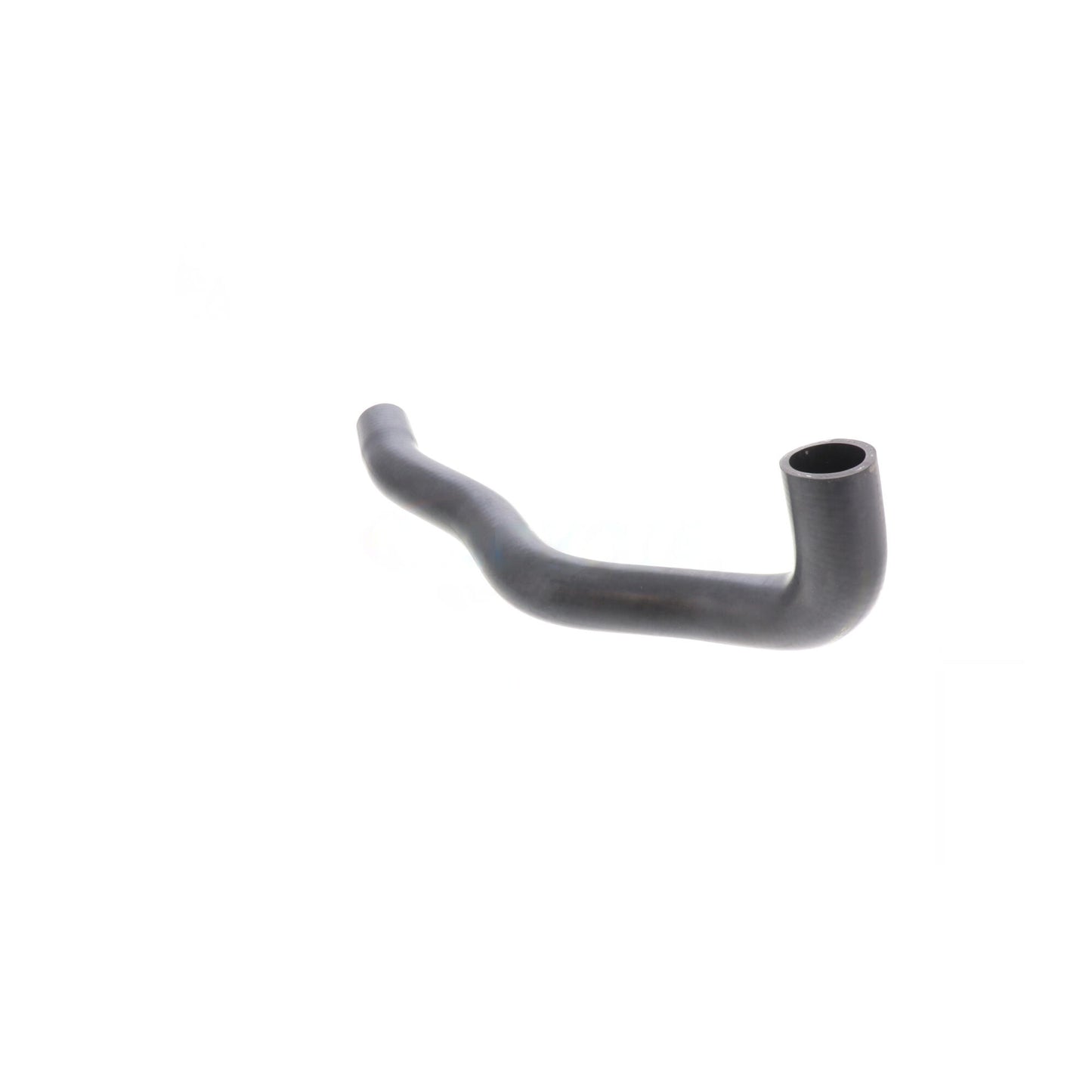 ACKOJA Radiator Hose A32-1603