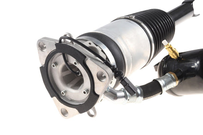 BOGAP Premium Air Suspension Strut A3426104