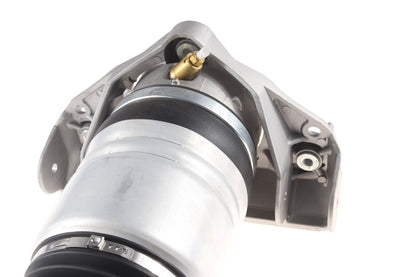 BOGAP Premium Air Suspension Strut A3426111