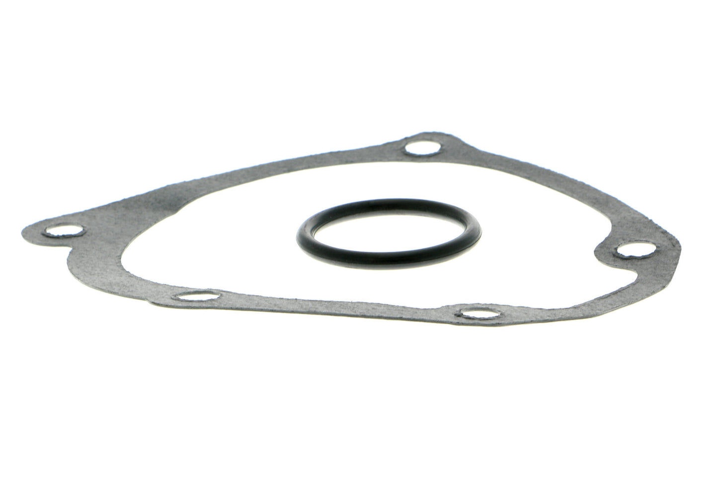 ACKOJA Water Pump, engine cooling A37-50004