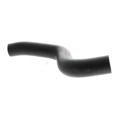 ACKOJA Radiator Hose A38-1600