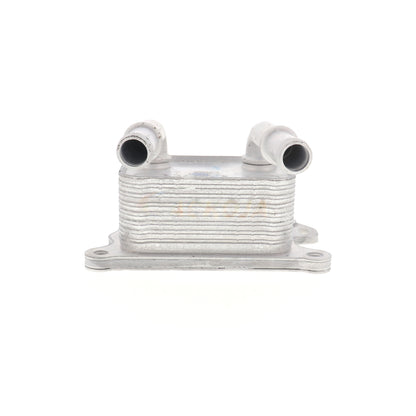 ACKOJA Oil Cooler, engine oil A38-60-0004
