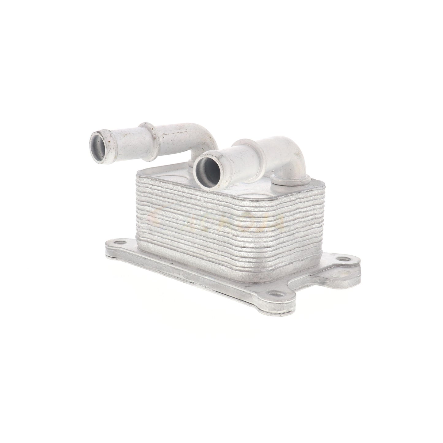 ACKOJA Oil Cooler, engine oil A38-60-0004