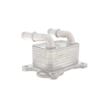 ACKOJA Oil Cooler, engine oil A38-60-0004