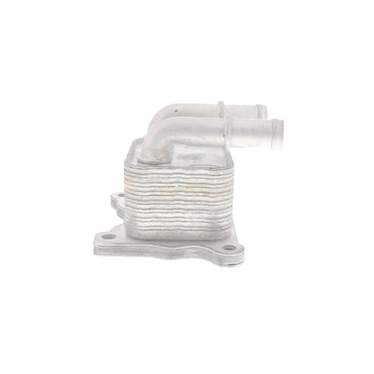 ACKOJA Oil Cooler, engine oil A38-60-0004