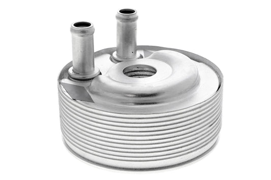 ACKOJA Oil Cooler, engine oil A38-60-0006