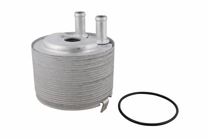 ACKOJA Oil Cooler, engine oil A38-60-0012