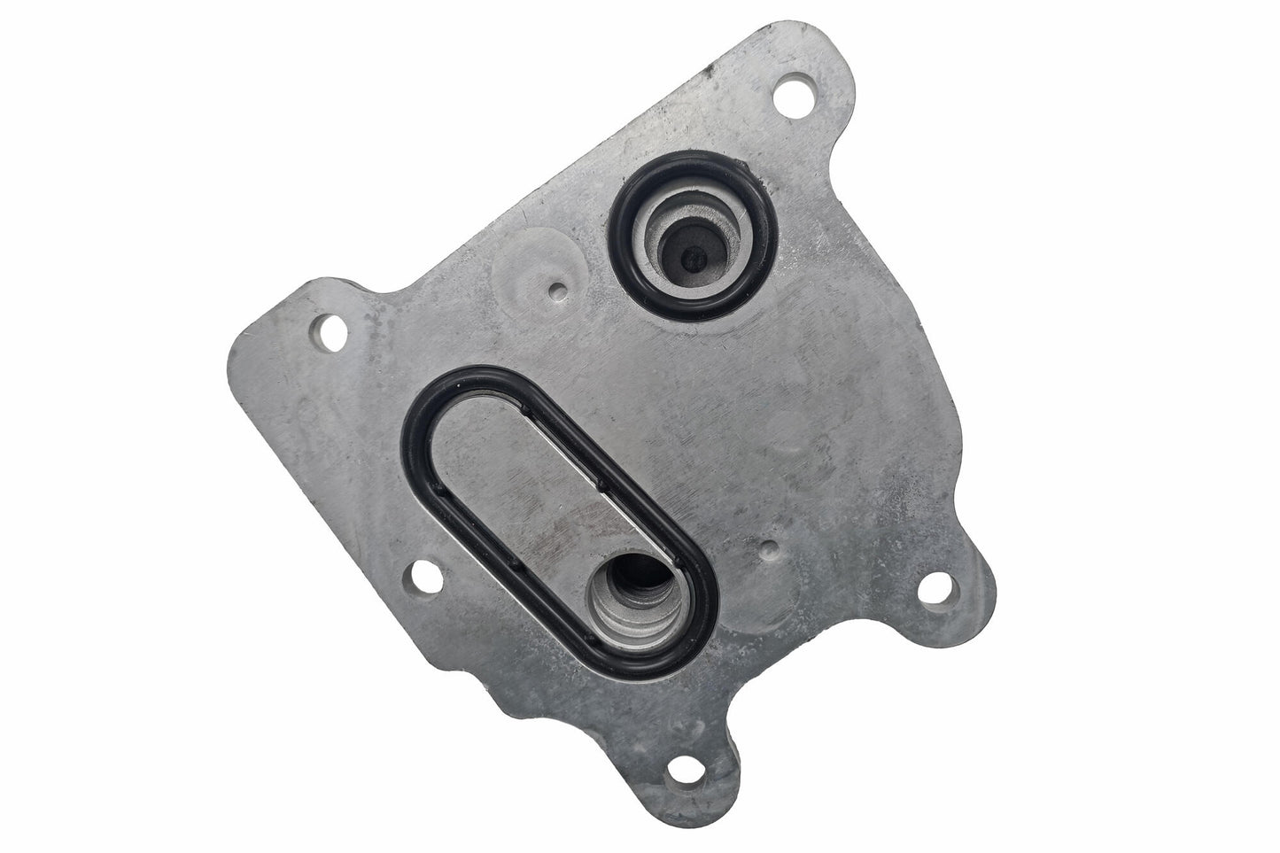 ACKOJA Oil Cooler, engine oil A38-60-0021
