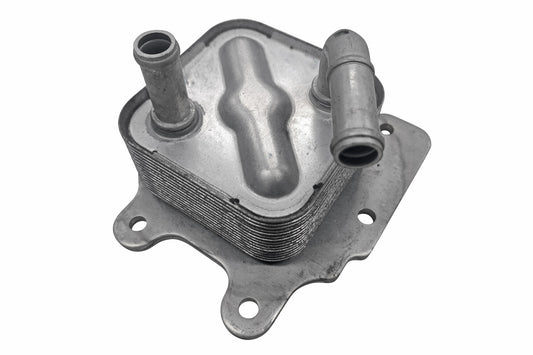 ACKOJA Oil Cooler, engine oil A38-60-0030