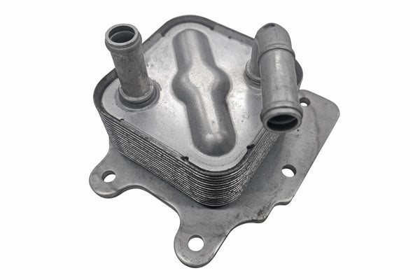 ACKOJA Oil Cooler, engine oil A38-60-0030