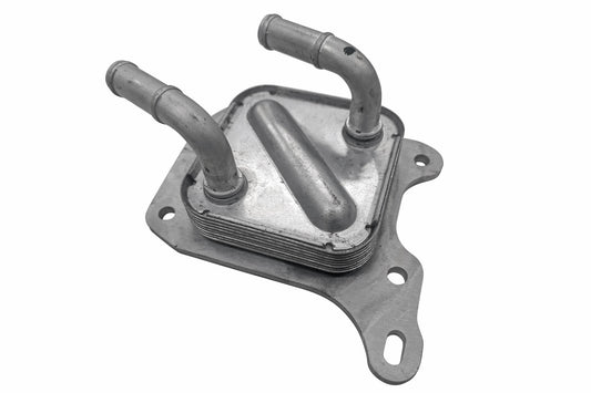 ACKOJA Oil Cooler, engine oil A38-60-0031