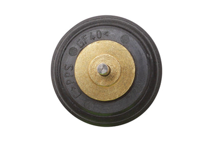 BOGAP Premium Thermostat for coolant A4245158