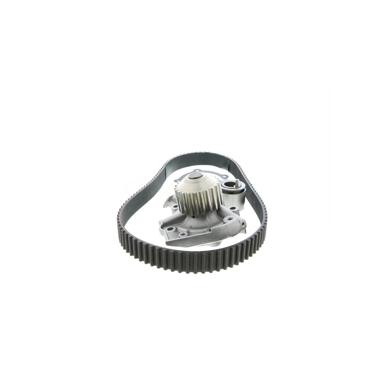 ACKOJA Water Pump & Timing Belt Kit A51-0202W