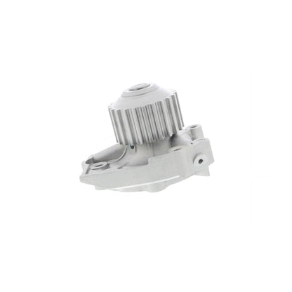 ACKOJA Water Pump, engine cooling A51-0700