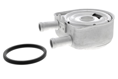 ACKOJA Oil Cooler, engine oil A52-60-0010