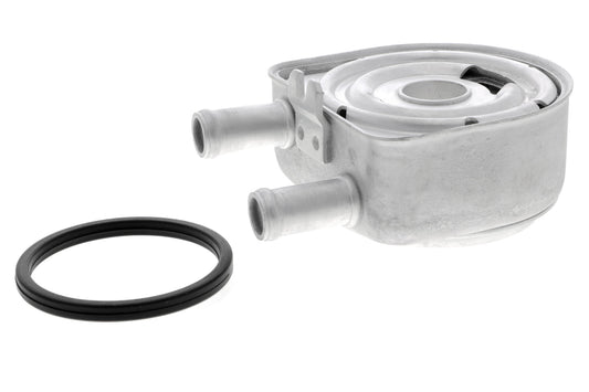 ACKOJA Oil Cooler, engine oil A52-60-0010