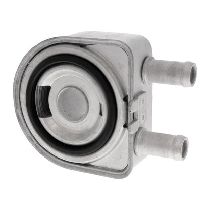 ACKOJA Oil Cooler, engine oil A52-60-0019