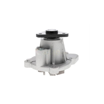 ACKOJA Water Pump, engine cooling A53-0705