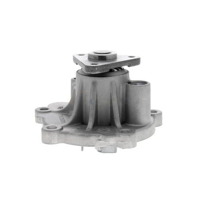 ACKOJA Water Pump, engine cooling A53-50003