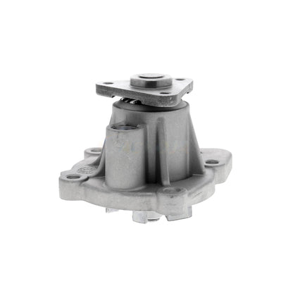 ACKOJA Water Pump, engine cooling A53-50003
