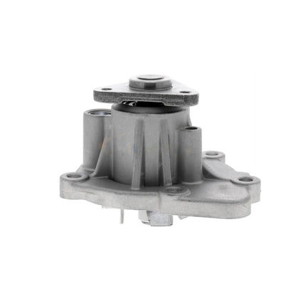 ACKOJA Water Pump, engine cooling A53-50003