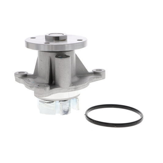ACKOJA Water Pump, engine cooling A53-50010