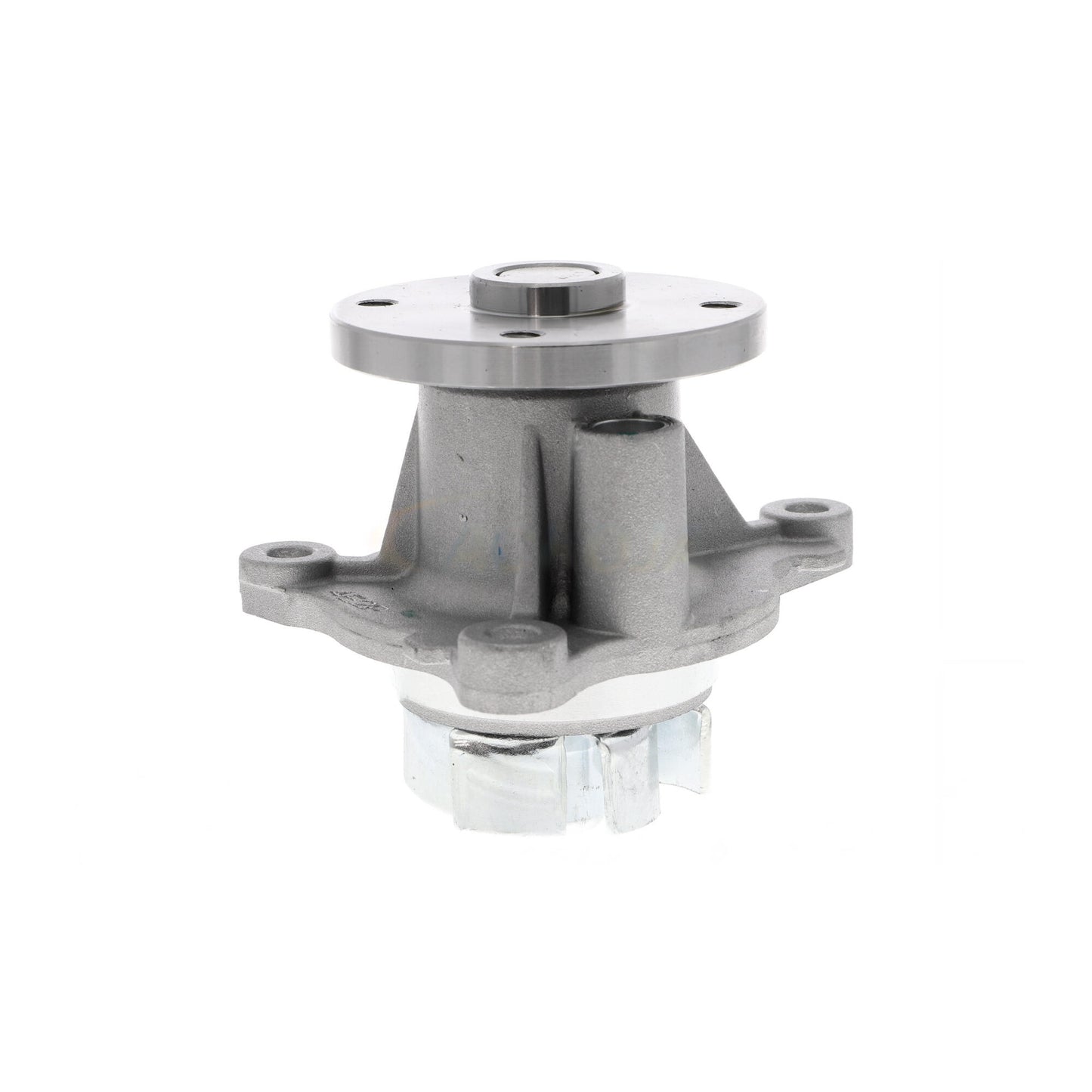ACKOJA Water Pump, engine cooling A53-50010