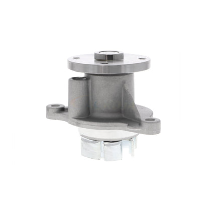 ACKOJA Water Pump, engine cooling A53-50010