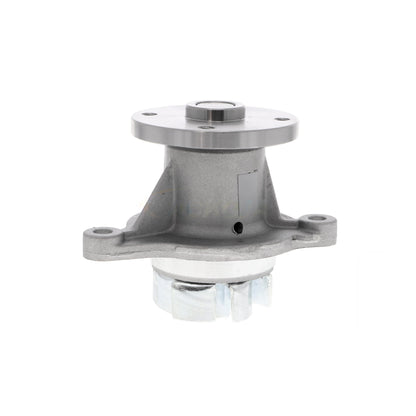 ACKOJA Water Pump, engine cooling A53-50010