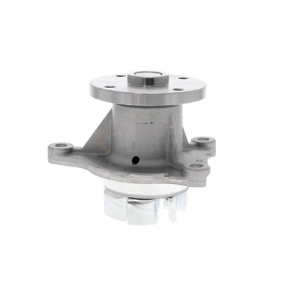 ACKOJA Water Pump, engine cooling A53-50010