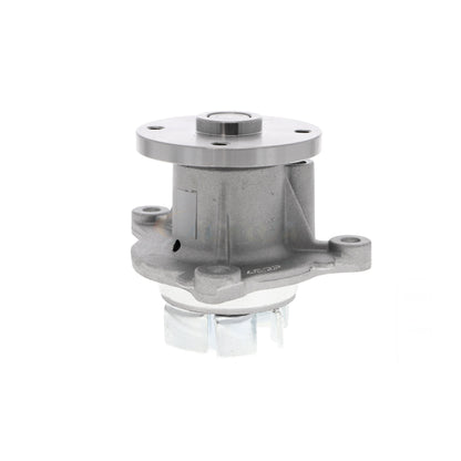 ACKOJA Water Pump, engine cooling A53-50010