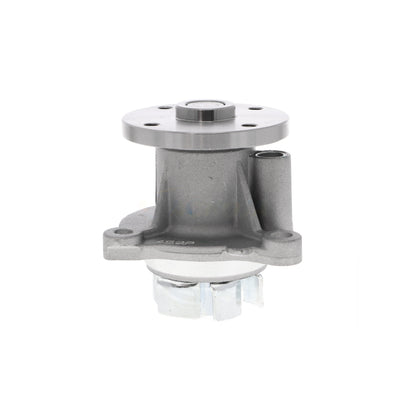 ACKOJA Water Pump, engine cooling A53-50010