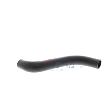ACKOJA Radiator Hose A70-1601