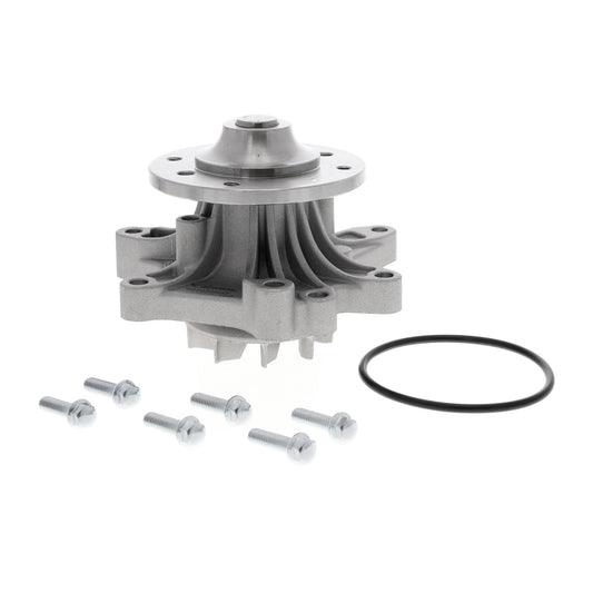 ACKOJA Water Pump, engine cooling A70-50018