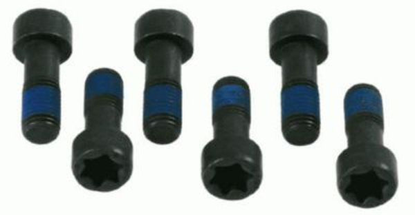 Sachs Flywheel Bolt Kit For Fiat 1874000035