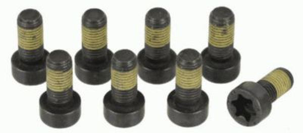 Sachs Flywheel Bolt Kit For BMW 1874000044
