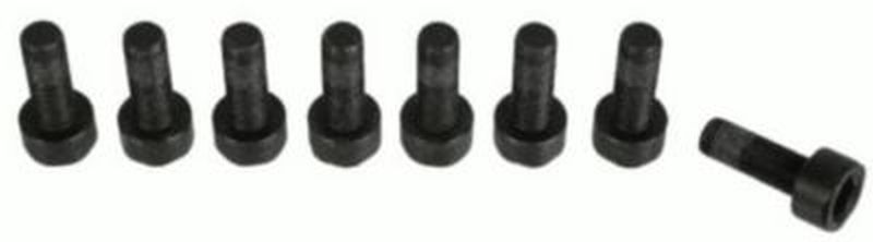 Sachs Service Item Bolt Kit 1874000066