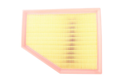 BOGAP Premium Air Filter B8111228