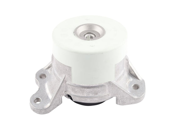 BOGAP Premium Mounting for engine C1911116