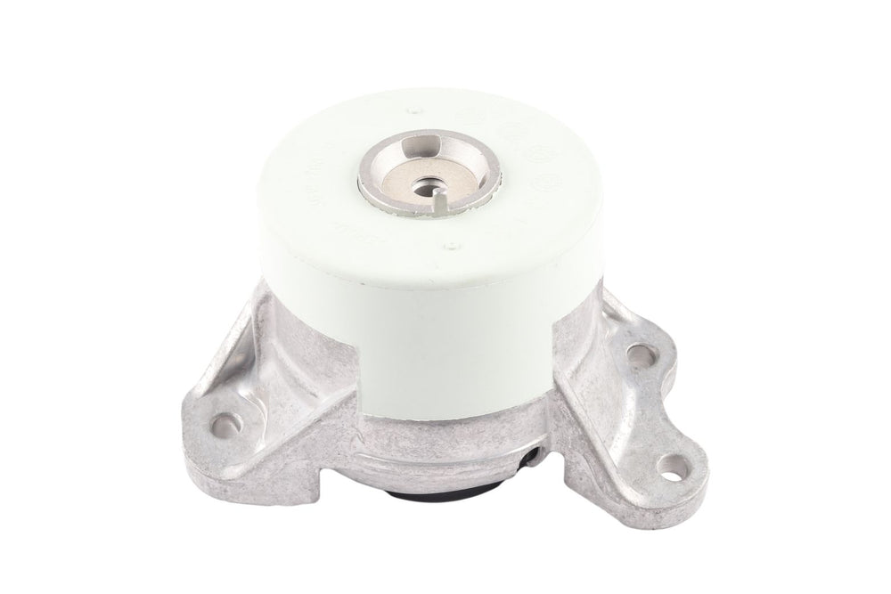 BOGAP Premium Mounting for engine C1911117