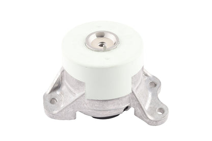 BOGAP Premium Mounting for engine C1911117