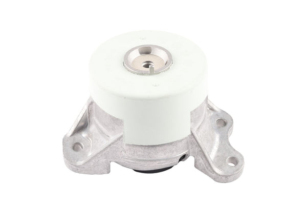 BOGAP Premium Mounting for engine C1911117