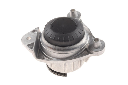 BOGAP Premium Mounting for engine C1911130